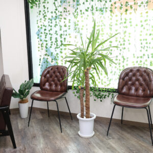 12月に増える胃腸の不調｜胃が重い・お腹の調子が悪い原因と整体での対策【福山市】