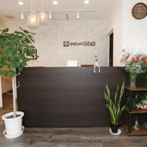 1月中旬は乾燥による不調に注意｜だるさ・疲労感が抜けない原因と対策【福山駅前の整体】